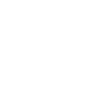 CasT-Security Shield